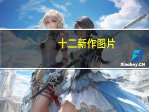 十二新作图片（十二新作）