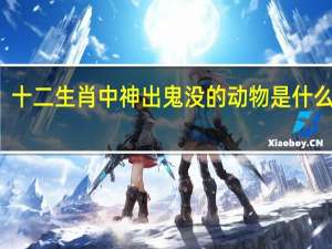 十二生肖中神出鬼没的动物是什么生肖（神出鬼没的动物是什么生肖）