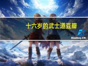 十六岁的武士道豆瓣（十六岁的武士道）