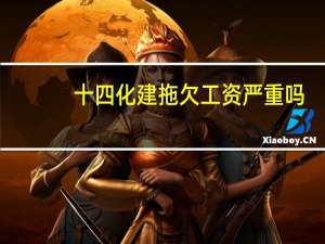 十四化建拖欠工资严重吗（十四化建）