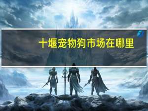 十堰宠物狗市场在哪里