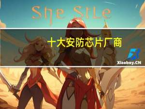 十大安防芯片厂商