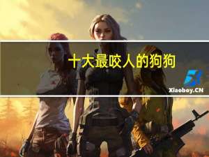 十大最咬人的狗狗
