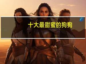 十大最甜蜜的狗狗