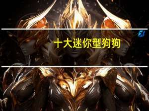 十大迷你型狗狗