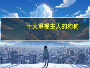 十大重视主人的狗狗