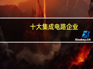 十大集成电路企业