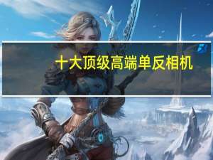 十大顶级高端单反相机