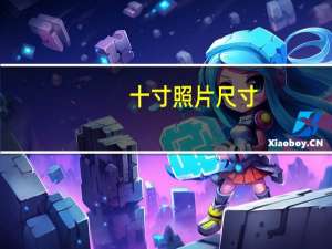 十寸照片尺寸（十寸）