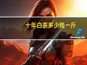 十年白茶多少钱一斤（白茶多少钱一斤）
