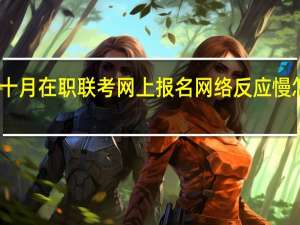 十月在职联考网上报名网络反应慢怎么办