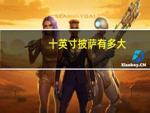 十英寸披萨有多大