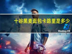 十谷 黑麦面包卡路里是多少