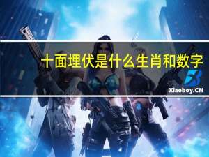 十面埋伏是什么生肖和数字（十面埋伏是什么生肖）