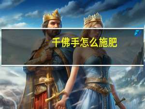 千佛手怎么施肥