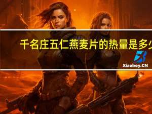 千名庄 五仁燕麦片的热量是多少