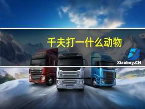 千夫打一什么动物（千夫所指是指什么动物）