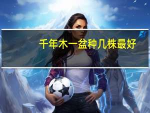 千年木一盆种几株最好