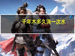 千年木多久浇一次水