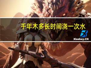 千年木多长时间浇一次水