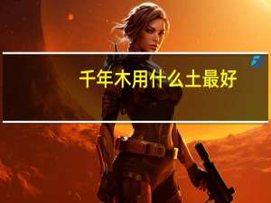千年木用什么土最好