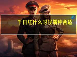 千日红什么时候播种合适