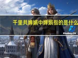 千里共婵娟中婵娟指的是什么
