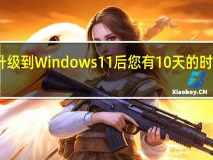 升级到Windows11后您有10天的时间回滚