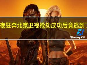 午夜狂奔北京卫视抢劫成功后竟逃到了警察局（午夜狂奔）