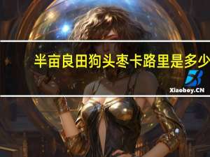 半亩良田 狗头枣卡路里是多少