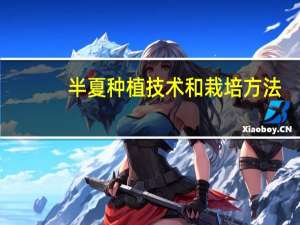 半夏种植技术和栽培方法