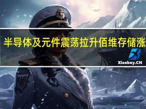 半导体及元件震荡拉升 佰维存储涨超12%