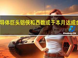 半导体巨头铠侠和西数或于本月达成合并协议