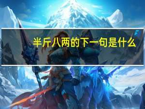 半斤八两的下一句是什么