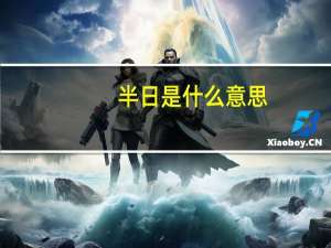半日是什么意思