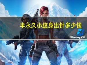 半永久小纹身出针多少钱(半永久小纹身要多少钱大概)