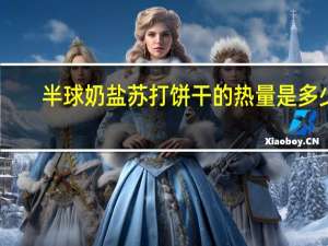 半球 奶盐苏打饼干的热量是多少