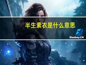 半生素衣是什么意思