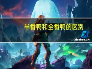 半番鸭和全番鸭的区别（半番鸭）
