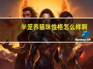 半笼养猫咪性格怎么样啊