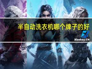 半自动洗衣机哪个牌子的好（洗衣机哪个牌子的好）