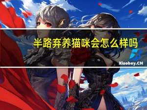 半路弃养猫咪会怎么样吗