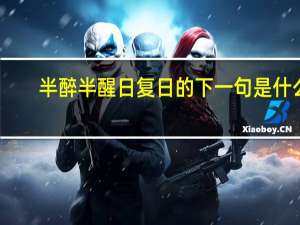 半醉半醒日复日的下一句是什么