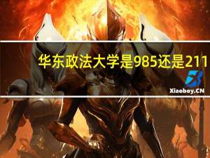 华东政法大学是985还是211