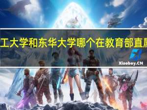 华东理工大学和东华大学哪个在教育部直属高校中更强