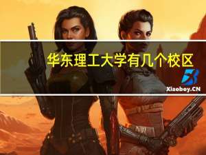 华东理工大学有几个校区