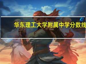 华东理工大学附属中学分数线