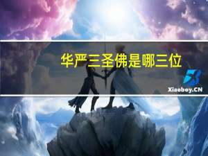 华严三圣佛是哪三位