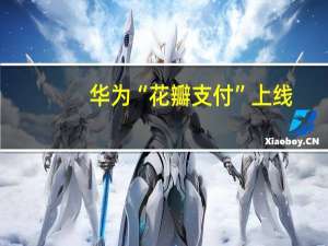 华为“花瓣支付”上线：不与支付宝、微信支付竞争
