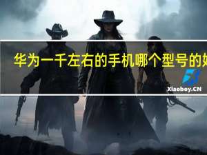 华为一千左右的手机哪个型号的好用（华为一千左右的手机）